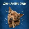 Purina Busy Long Lasting Chews for Dogs, 21 oz Pouch