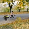 Foldable Bicycle Cargo Wagon Trailer Two-Wheel Bike Cargo Trailer with 15.8In Wheel Removable Cover 176LBS Weight Capacity