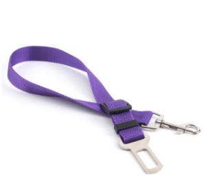 Fixed Strap Polyester Dog Strap Dog Leash Dog Leash (Option: 70cm-Purple)