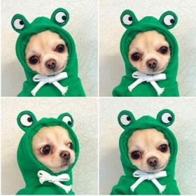 Dog Autumn And Winter Clothing Small And Medium Dog Love Two Legged Cat Cute Pet Clothing (Option: 5 Style-XS)