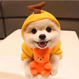 Dog Autumn And Winter Clothing Small And Medium Dog Love Two Legged Cat Cute Pet Clothing (Option: 7 Style-XS)