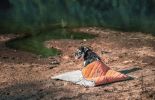 Dog Helios 'Boulder-Trek' 3-in-1 Expandable Surface Outdoor Travel Camping Dog Mat